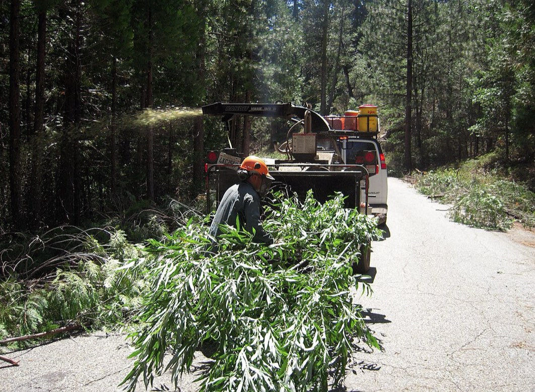 A worker clearing and chipping brush along a wooded property